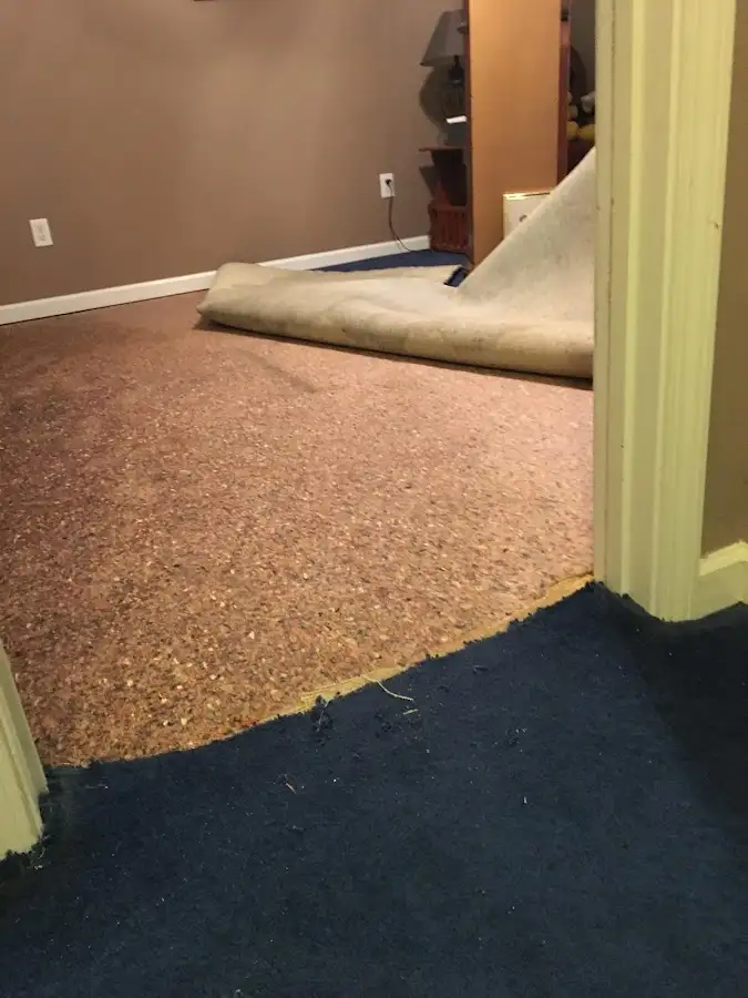 Carpet pad removal revealing water damage during Water Mitigation Services in South Windsor